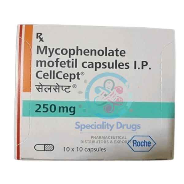 Mycophenolate Mofetil Cellcept 250mg